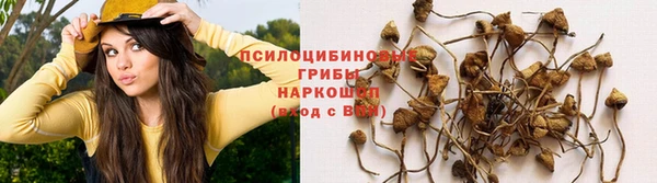 дживик Алексин