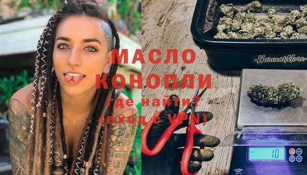 крисы Абаза