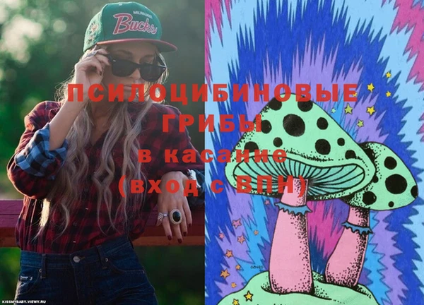 дживик Алексин